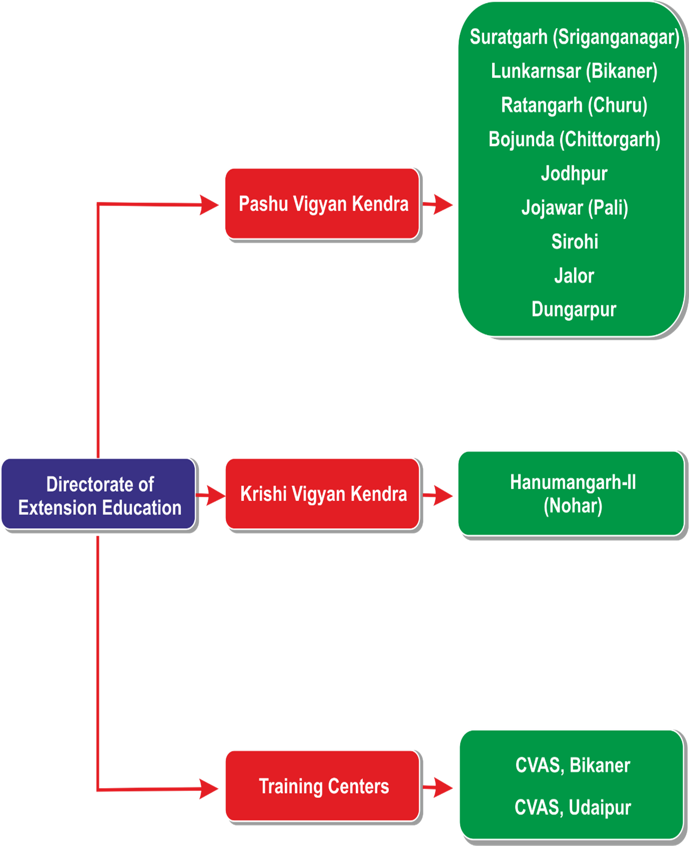 Organizational Structure